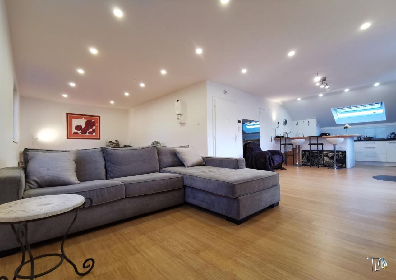 "Le Loft B Bg " Appartement Avec Terrasse G Friendly Straatsburg Buitenkant foto