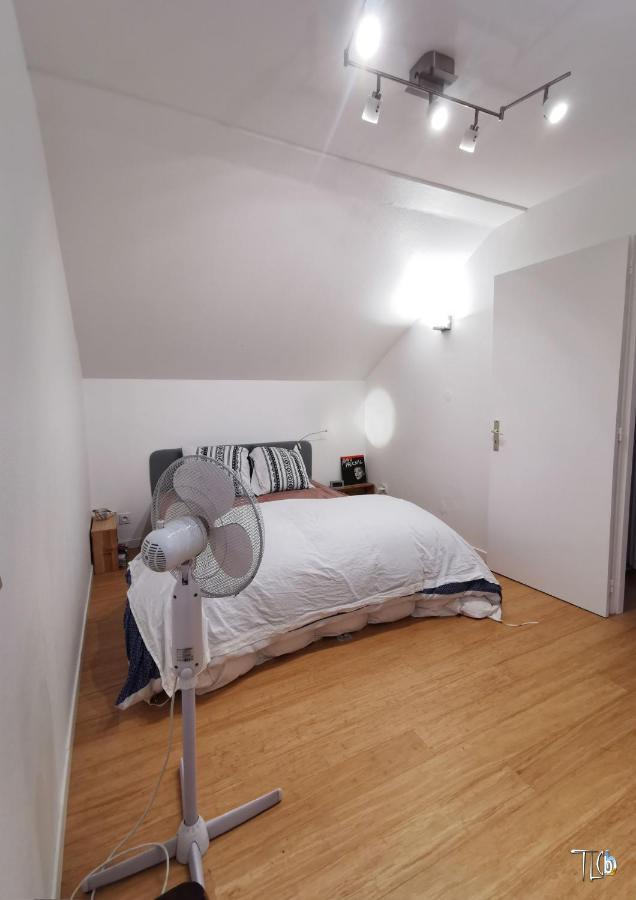 "Le Loft B Bg " Appartement Avec Terrasse G Friendly Straatsburg Buitenkant foto
