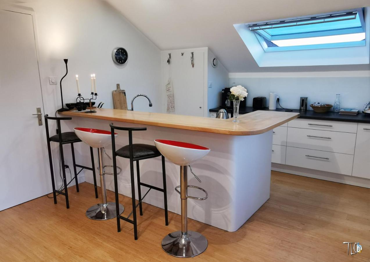 "Le Loft B Bg " Appartement Avec Terrasse G Friendly Straatsburg Buitenkant foto