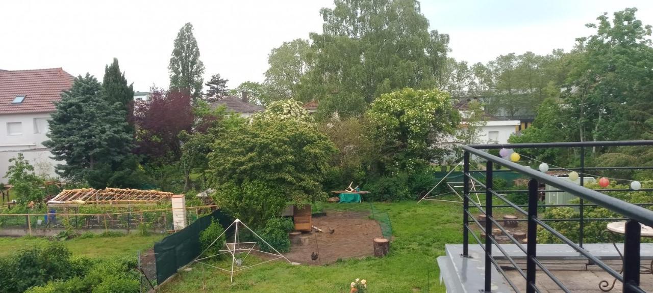 "Le Loft B Bg " Appartement Avec Terrasse G Friendly Straatsburg Buitenkant foto